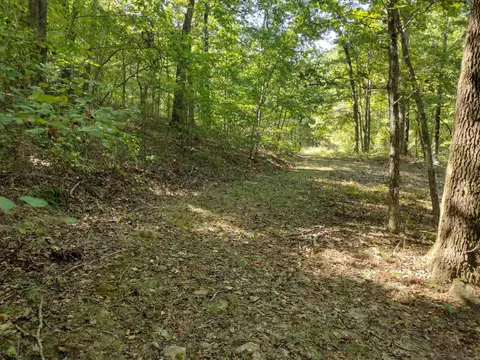 0 Toad Hollow Rd, Mountain View, AR 72560 photo 31