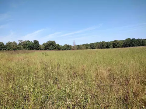 0 Toad Hollow Rd, Mountain View, AR 72560 photo 13