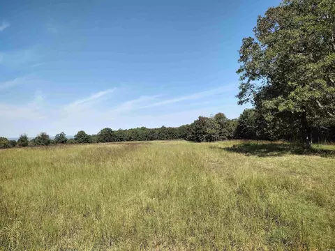 0 Toad Hollow Rd, Mountain View, AR 72560 photo 4