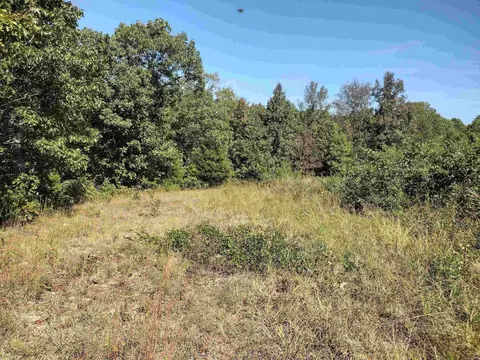 0 Toad Hollow Rd, Mountain View, AR 72560 photo 18