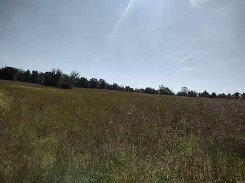 0 Toad Hollow Rd, Mountain View, AR 72560 photo 35