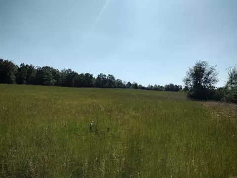 0 Toad Hollow Rd, Mountain View, AR 72560 photo 14