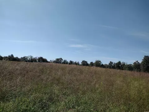 0 Toad Hollow Rd, Mountain View, AR 72560 photo 34