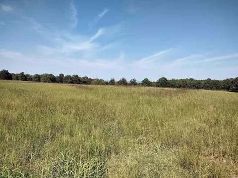 0 Toad Hollow Rd, Mountain View, AR 72560 photo 10