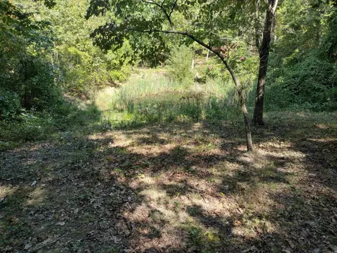 0 Toad Hollow Rd, Mountain View, AR 72560 photo 26