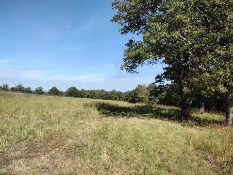 0 Toad Hollow Rd, Mountain View, AR 72560 photo 38