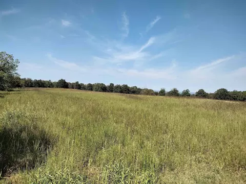 0 Toad Hollow Rd, Mountain View, AR 72560 photo 7