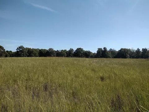 0 Toad Hollow Rd, Mountain View, AR 72560 photo 33