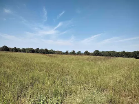 0 Toad Hollow Rd, Mountain View, AR 72560 photo 8