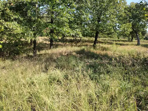 0 Toad Hollow Rd, Mountain View, AR 72560 photo 17