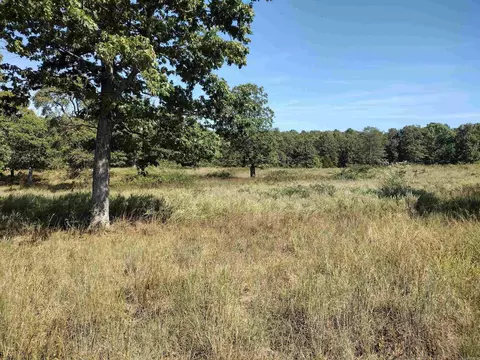 0 Toad Hollow Rd, Mountain View, AR 72560 photo 16