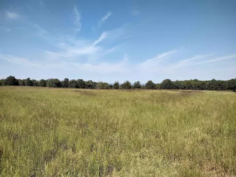 0 Toad Hollow Rd, Mountain View, AR 72560 photo 5