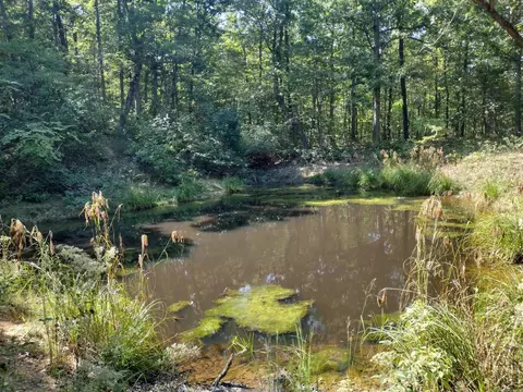 0 Toad Hollow Rd, Mountain View, AR 72560 photo 29