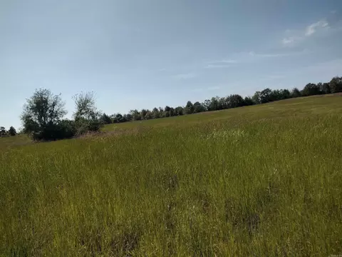 0 Toad Hollow Rd, Mountain View, AR 72560 photo 15