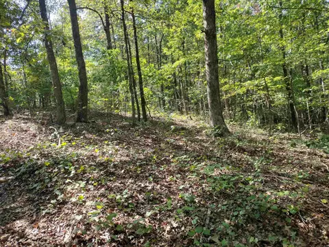 0 Toad Hollow Rd, Mountain View, AR 72560 photo 19