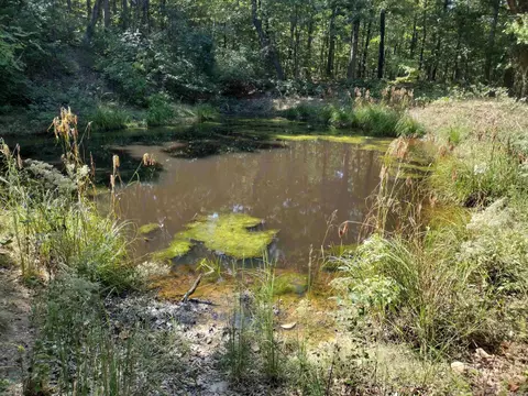 0 Toad Hollow Rd, Mountain View, AR 72560 photo 30