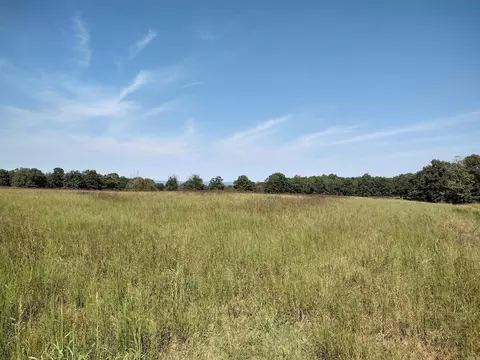 0 Toad Hollow Rd, Mountain View, AR 72560 photo 9