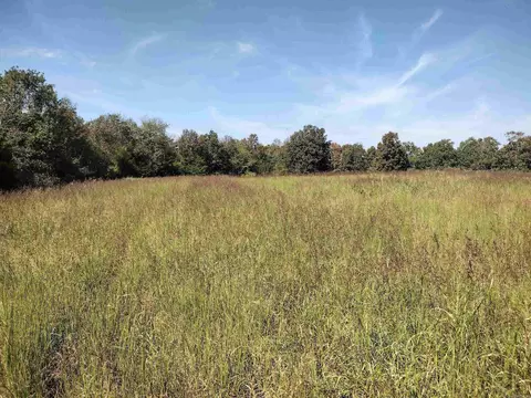 0 Toad Hollow Rd, Mountain View, AR 72560 photo 12