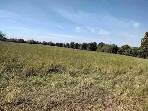0 Toad Hollow Rd, Mountain View, AR 72560 photo 36