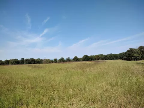 0 Toad Hollow Rd, Mountain View, AR 72560 photo 6