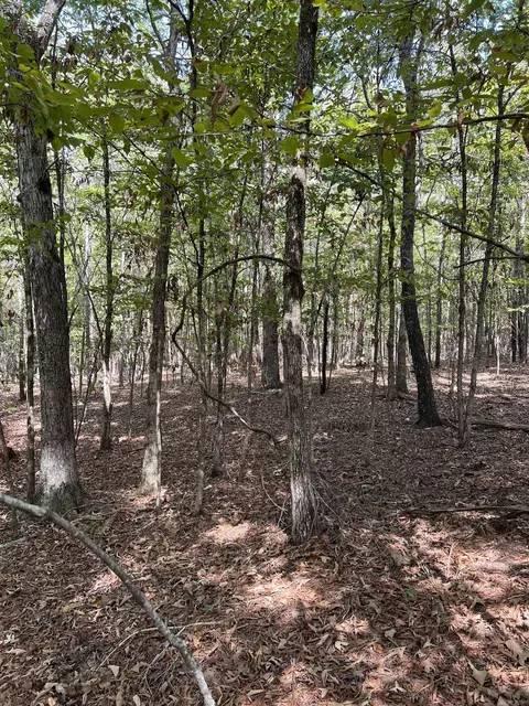 tbd N Apt 2 N Chaparral, Mena, AR 71953 photo 12