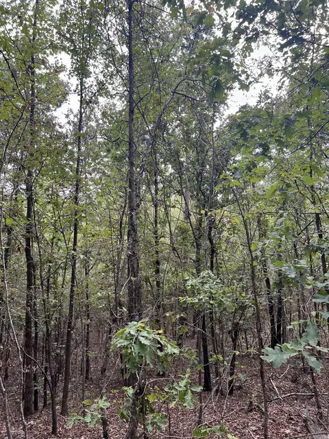 tbd N Apt 2 N Chaparral, Mena, AR 71953 photo 19
