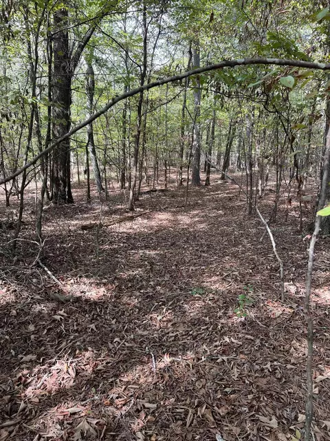 tbd N Apt 2 N Chaparral, Mena, AR 71953 photo 14