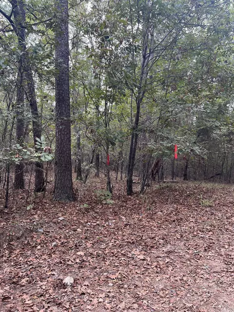 tbd N Apt 2 N Chaparral, Mena, AR 71953 photo 4