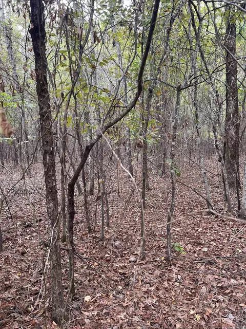 tbd N Apt 2 N Chaparral, Mena, AR 71953 photo 7
