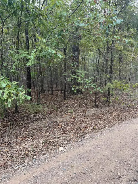 tbd N Apt 2 N Chaparral, Mena, AR 71953 photo 8