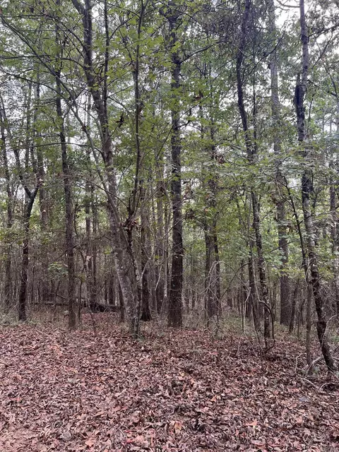 tbd N Apt 2 N Chaparral, Mena, AR 71953 photo 20