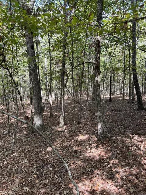tbd N Apt 2 N Chaparral, Mena, AR 71953 photo 13