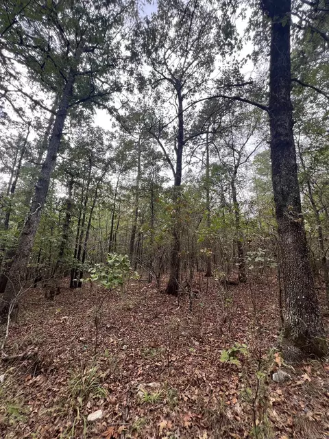 tbd N Apt 2 N Chaparral, Mena, AR 71953 photo 16