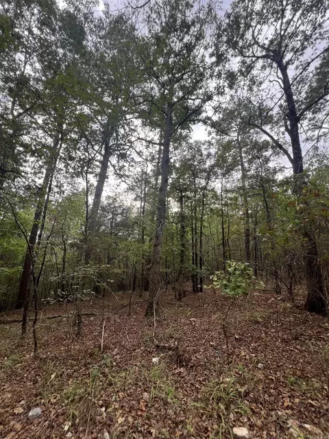 tbd N Apt 2 N Chaparral, Mena, AR 71953 photo 3