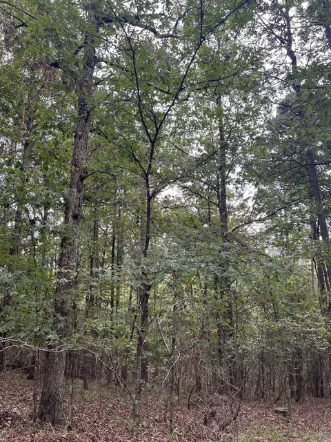 tbd N Apt 2 N Chaparral, Mena, AR 71953 photo 5