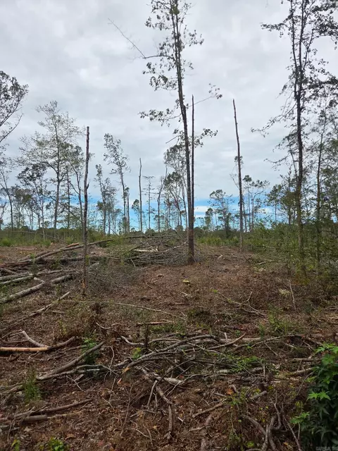 Parcel 001-06008-000, Bauxite, AR 72011 photo 3