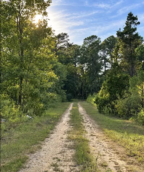 156 Ouachita 500, Camden, AR 71701