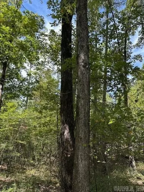 000 Ross Holw, Roland, AR 72223