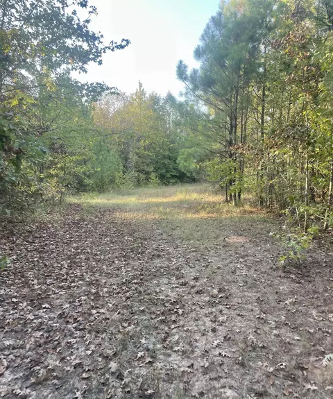 tbd Highway160, Doddridge, AR 71834 photo 12