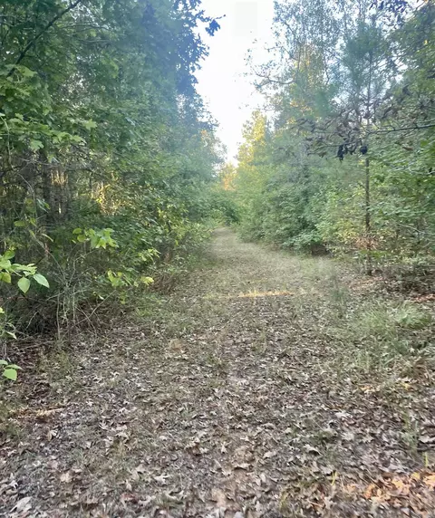 tbd Highway160, Doddridge, AR 71834 photo 10
