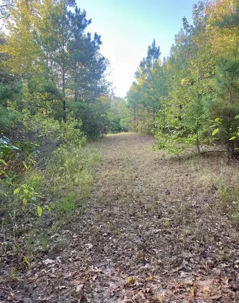 tbd Highway160, Doddridge, AR 71834 photo 11