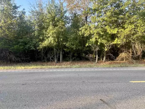 tbd Highway160, Doddridge, AR 71834 photo 4
