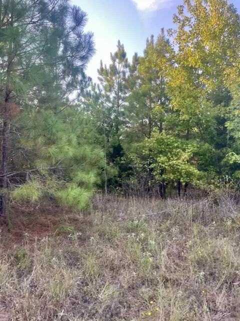 tbd Highway160, Doddridge, AR 71834 photo 14