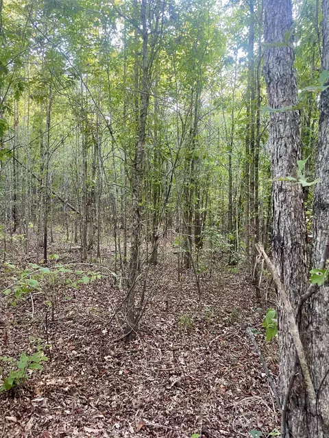 tbd Highway160, Doddridge, AR 71834 photo 6