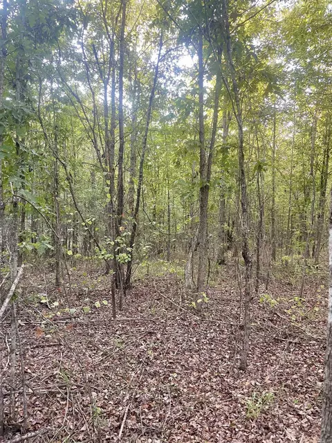 tbd Highway160, Doddridge, AR 71834 photo 7