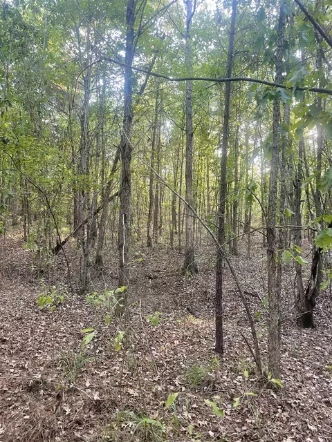 tbd Highway160, Doddridge, AR 71834 photo 8