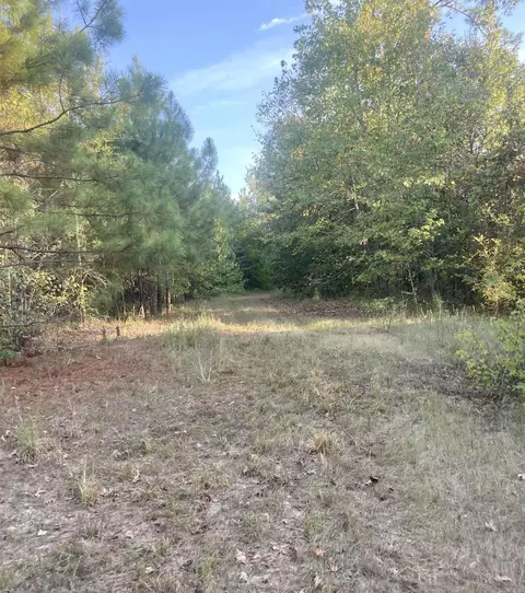 tbd Highway160, Doddridge, AR 71834 photo 16