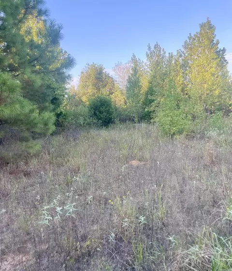 tbd Highway160, Doddridge, AR 71834 photo 13