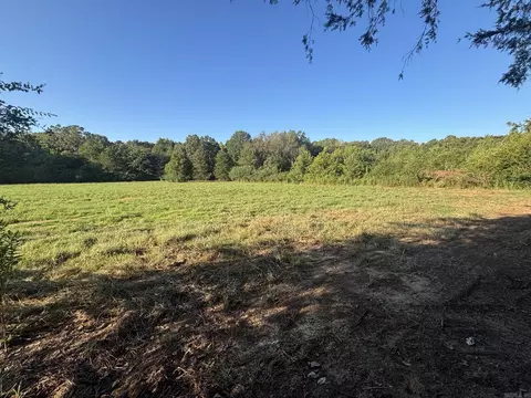 711 Twin Dikes Rd, Atkins, AR 72823 photo 10