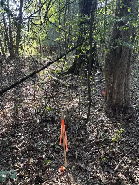 711 Twin Dikes Rd, Atkins, AR 72823 photo 14